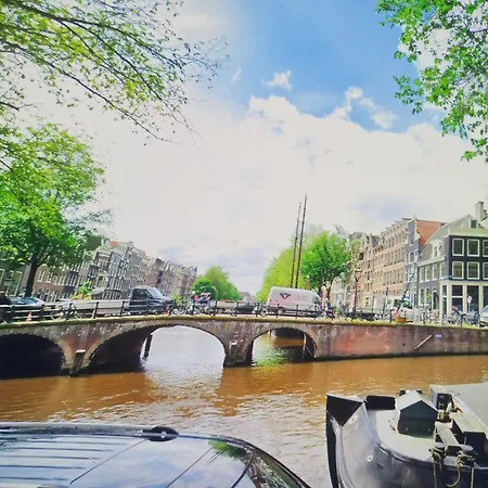 Jelier * 阿姆斯特丹